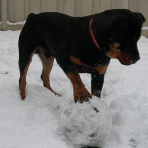 Meet your Posher, Jack